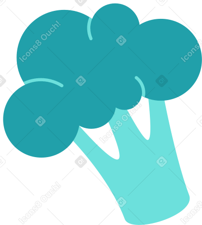 green cabbage broccoli Illustration in PNG, SVG