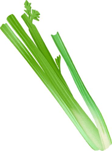 celery PNG, SVG