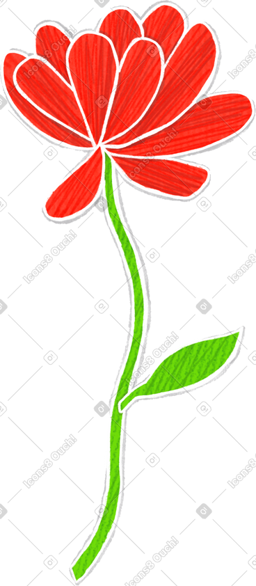 Large red flower on a thin stem with a leaf PNG, SVG