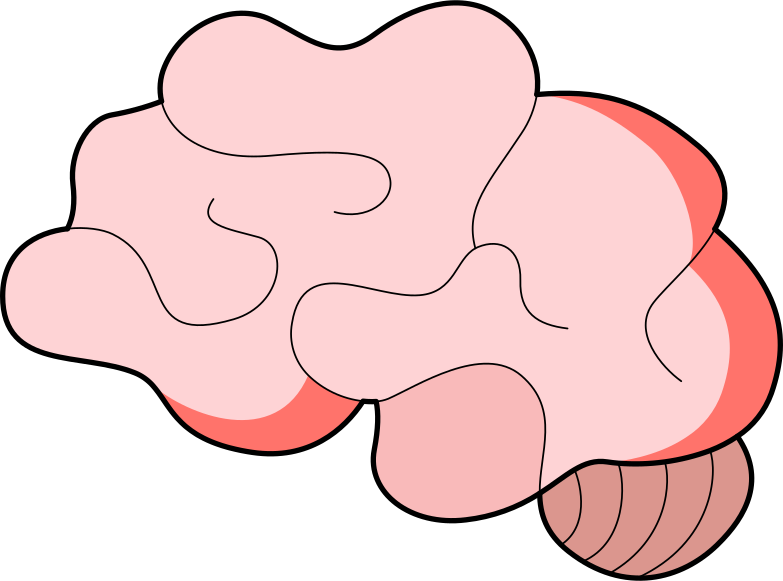 Brain のクリップアートイラスト イメージ Pngとsvg