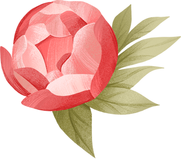 opening bud of a little peony with leaves PNG, SVG