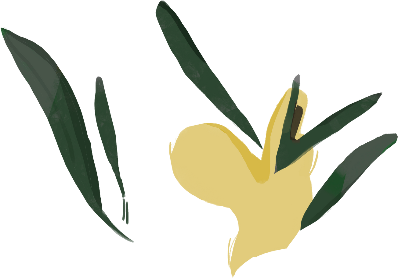 leaves Illustration in PNG, SVG