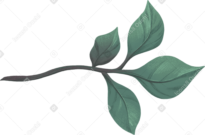 green branch with leaves PNG、SVG