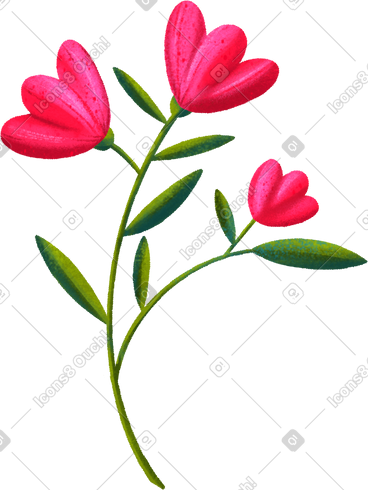 树枝上三个红色的花蕾 PNG, SVG