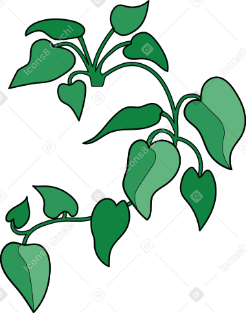домашнее растение в PNG, SVG
