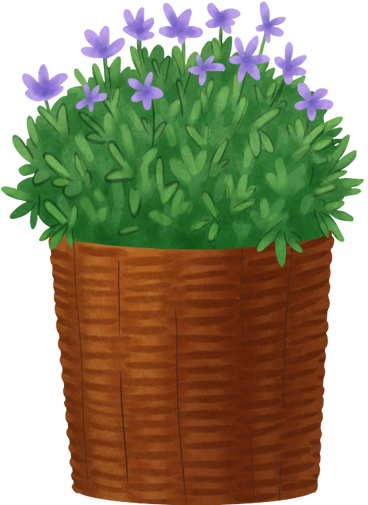 plant with small lilac flowers in a pot PNG, SVG