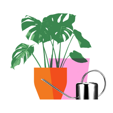 Home plant in a pot and watering can PNG, SVG