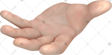 Hand PNG, SVG