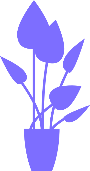 office plant with large leaves PNG, SVG
