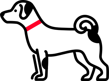 Hund jack russell PNG, SVG