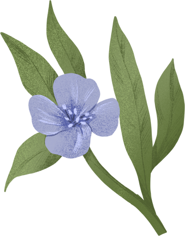 small blue flower on a green branch PNG, SVG