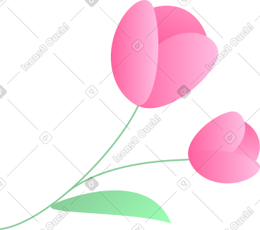 两朵粉红色的花 PNG, SVG