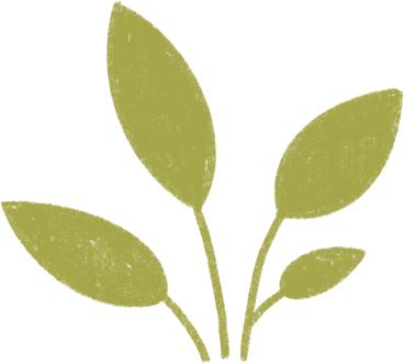 green plant PNG, SVG