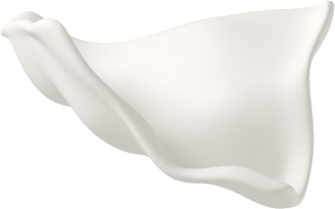Белый носовой платок в PNG, SVG