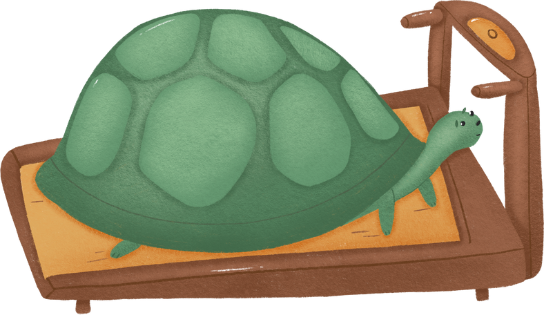 turtle Illustration in PNG, SVG