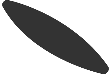 Long black leaf PNG、SVG