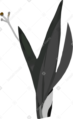black leaves Illustration in PNG, SVG
