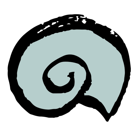 shell Illustration in PNG, SVG