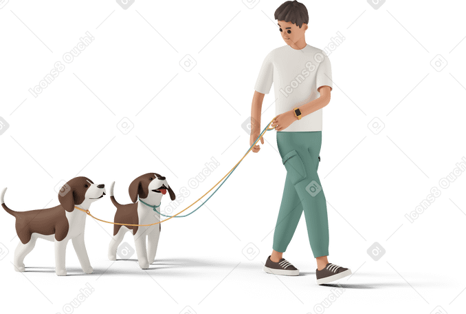 3D Man walking two dogs on leash Illustration in PNG, SVG