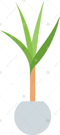plante en pot PNG, SVG