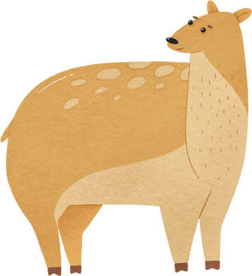 small brown doe PNG, SVG