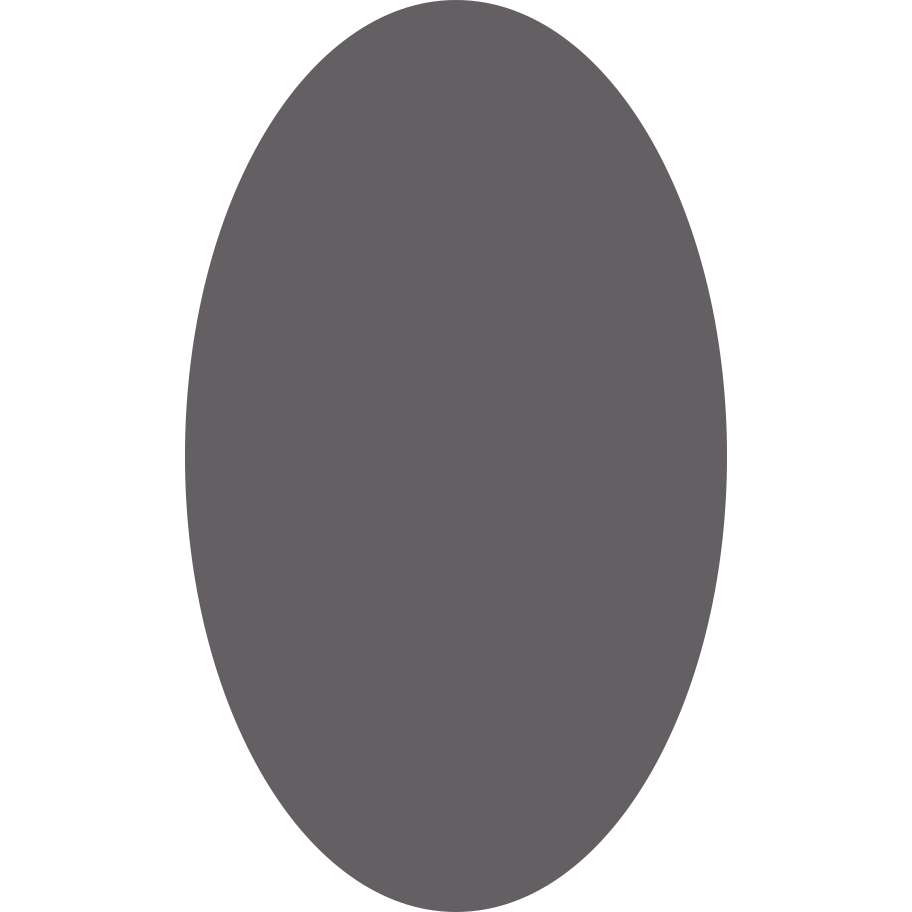 Ellipse grey Illustration in PNG, SVG