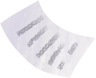 document PNG, SVG