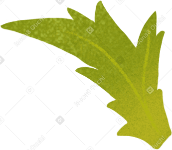 small green poppy leaf PNG、SVG