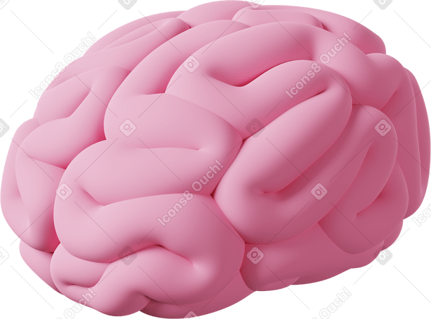3D Pink brain Illustration in PNG, SVG