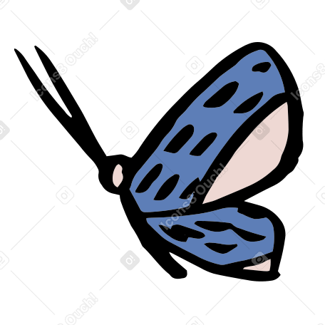 Papillon PNG, SVG