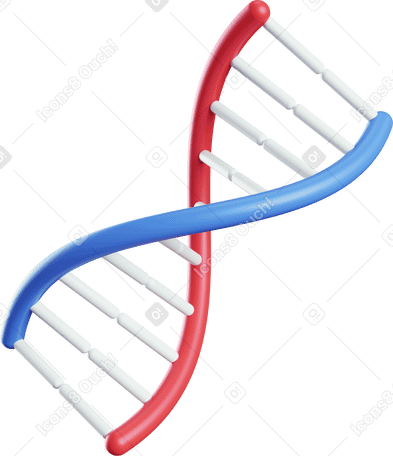 3D red and blue dna PNG, SVG