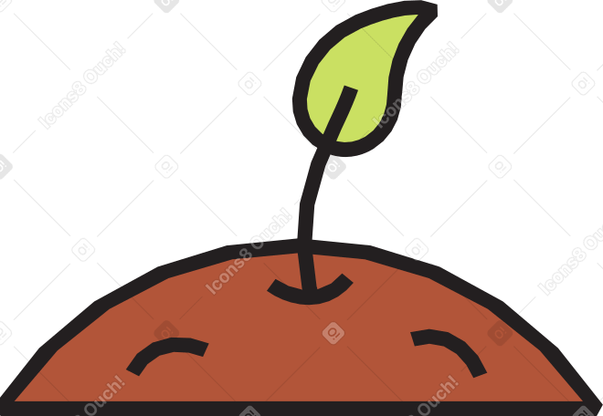 small seedling sprout Illustration in PNG, SVG