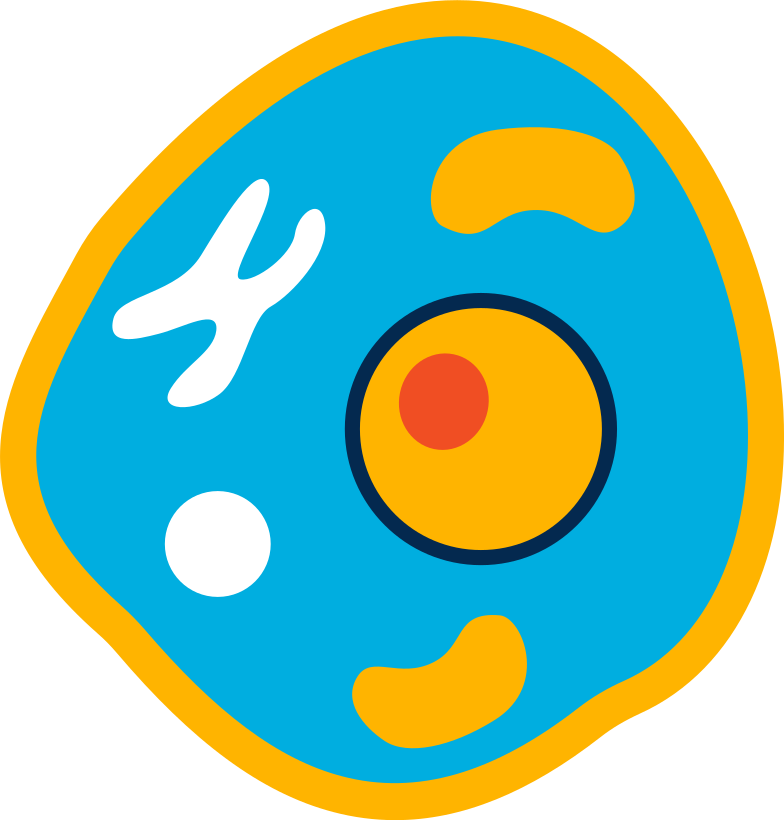Human のクリップアートイラスト イメージ Pngとsvg