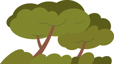 green grass into two a lush tree PNG, SVG
