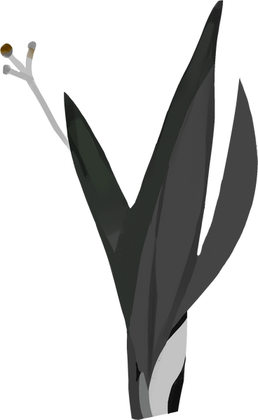 black leaves PNG, SVG