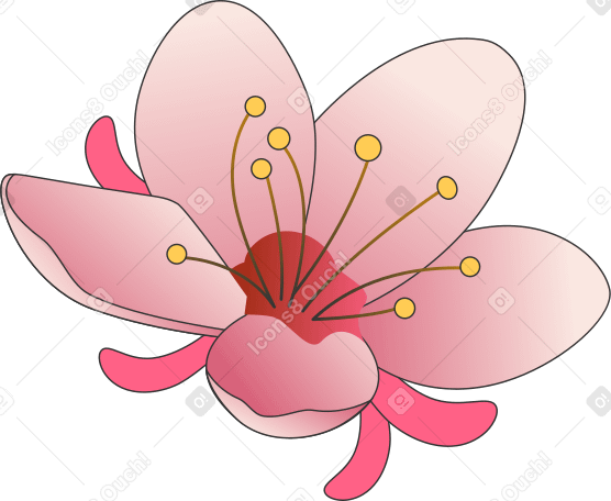 цветение сливы в PNG, SVG