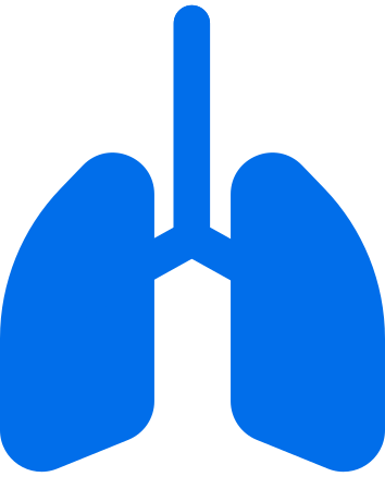 lungs icon animated illustration in GIF, Lottie (JSON), AE