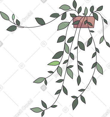 Ampel plant in a pot PNG, SVG