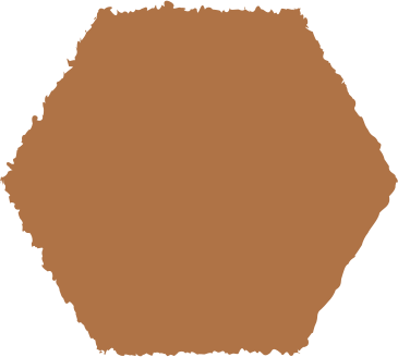 Шестиугольник коричневый в PNG, SVG