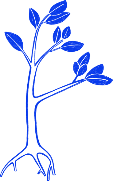 Young tree with leaves в PNG, SVG