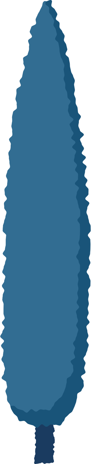 Cypress PNG, SVG