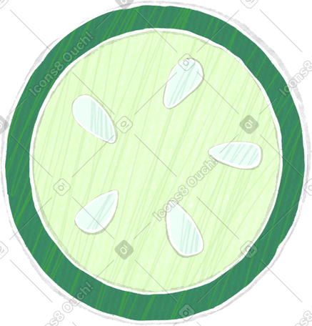 slice of zucchini PNG, SVG