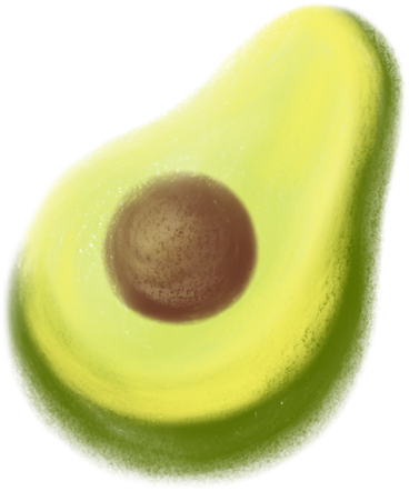 Avocado PNG、SVG
