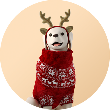 Perro con un suéter navideño PNG, SVG