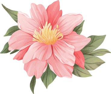 large pink fluffy flower with yellow pistils PNG, SVG