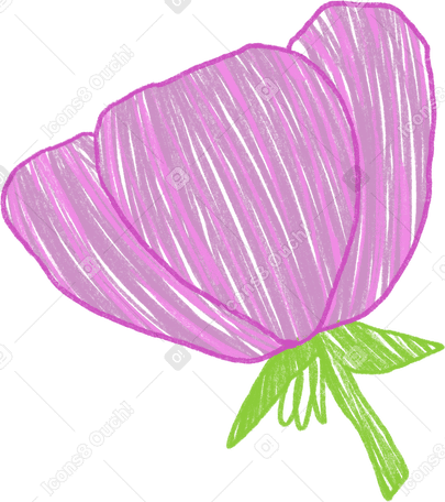 Розовый тюльпан в PNG, SVG