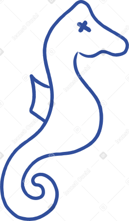 seahorse Illustration in PNG, SVG