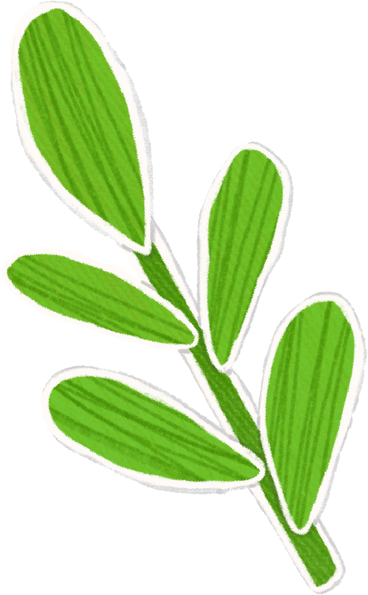 small green branch with leaves PNG, SVG