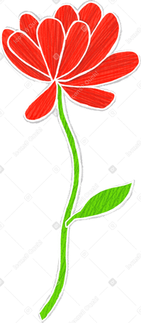 large red flower on a thin stem with a leaf Illustration in PNG, SVG