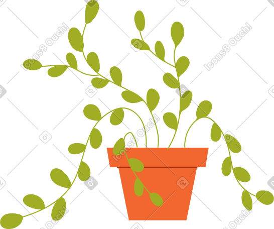 盆栽植物 PNG, SVG